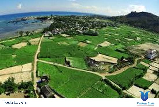 Những hòn đảo đẹp ở Lý Sơn mà du khách nên biết? Hình ảnh 2