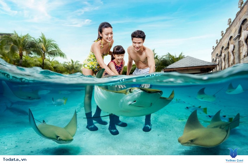 ông viên nước Adventure Cove Waterpark vui nhộn hang đầu ở Singapore Hình ảnh 2 ông viên nước Adventure Cove Waterpark vui nhộn hang đầu ở Singapore Hình ảnh 2