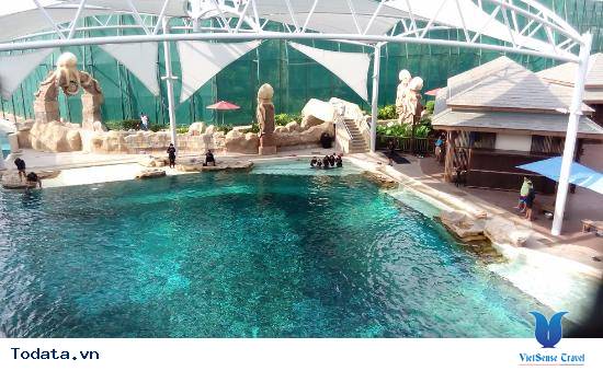 ông viên nước Adventure Cove Waterpark vui nhộn hang đầu ở Singapore Hình ảnh 1 ông viên nước Adventure Cove Waterpark vui nhộn hang đầu ở Singapore Hình ảnh 1