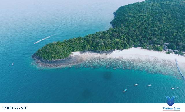 Rặng san hô tuyệt đẹp trên đảo Coral Hình ảnh 2 Rặng san hô tuyệt đẹp trên đảo Coral Hình ảnh 2