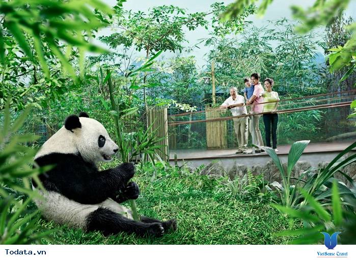 River Safari, công viên nước ngọt lớn nhất thế giới Hình ảnh 3