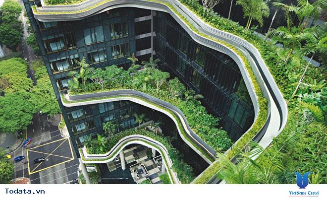 River Safari, công viên nước ngọt lớn nhất thế giới Hình ảnh 1