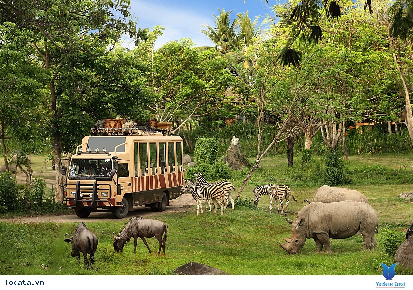 River Safari, thủy cung nước ngọt tuyệt đẹp Hình ảnh 3