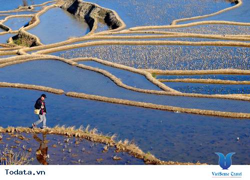 Ruộng Bậc Thang Nguyên Dương Mùa Nước về Hình ảnh 3