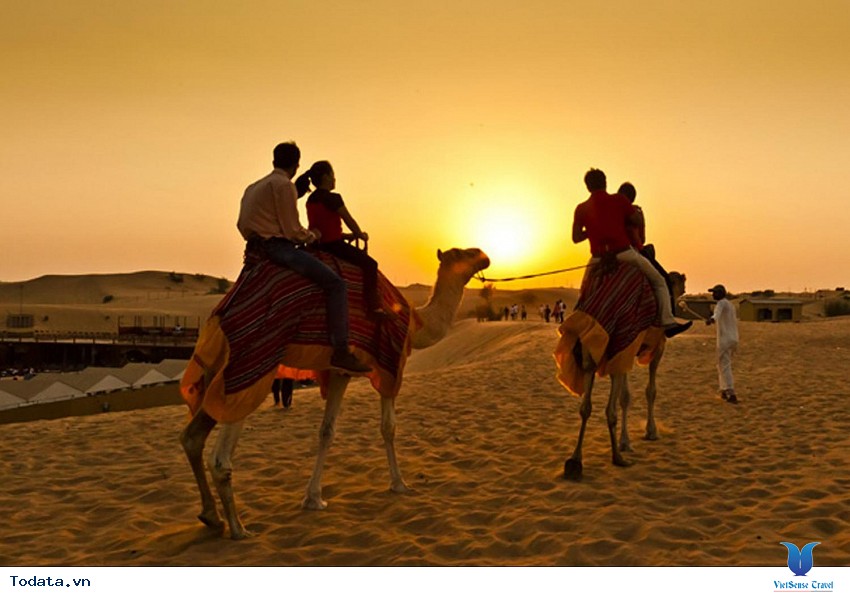 Sa Mạc Safari_ Điểm Du Lịch Không Thể Thiếu Ở Dubai Hình ảnh 1