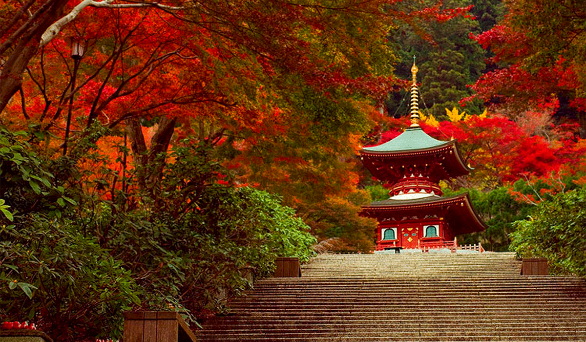 Sắc Đỏ Ngập Tràn Mùa Thu Osaka Hình ảnh 1