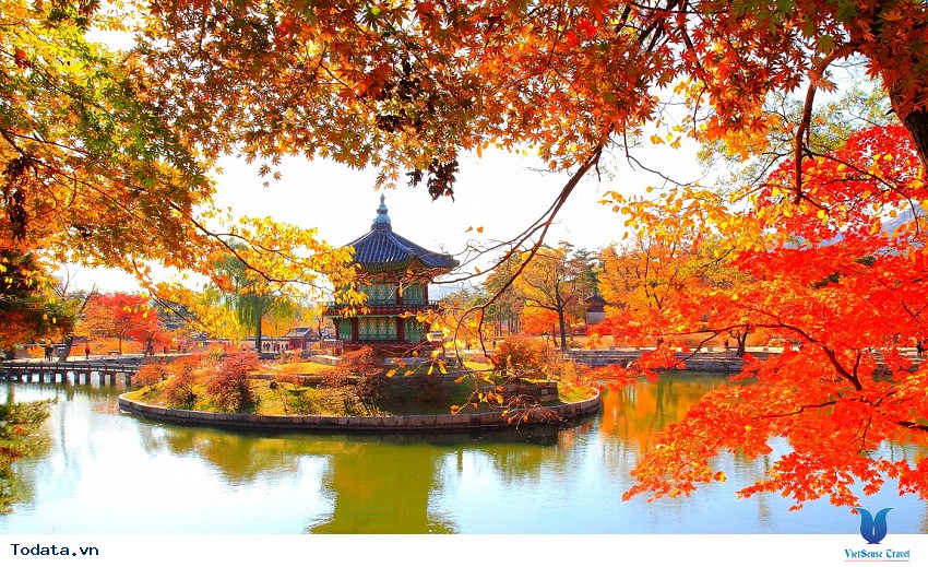 Sắc Đỏ Ngập Tràn Mùa Thu Osaka Hình ảnh 3