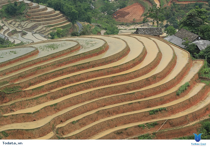 Sắc Màu Hoàng Su Phì Hình ảnh 4 Sắc Màu Hoàng Su Phì Hình ảnh 4