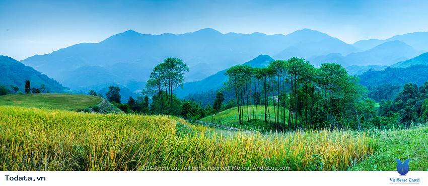 Sắc Màu Hoàng Su Phì Hình ảnh 1 Sắc Màu Hoàng Su Phì Hình ảnh 1