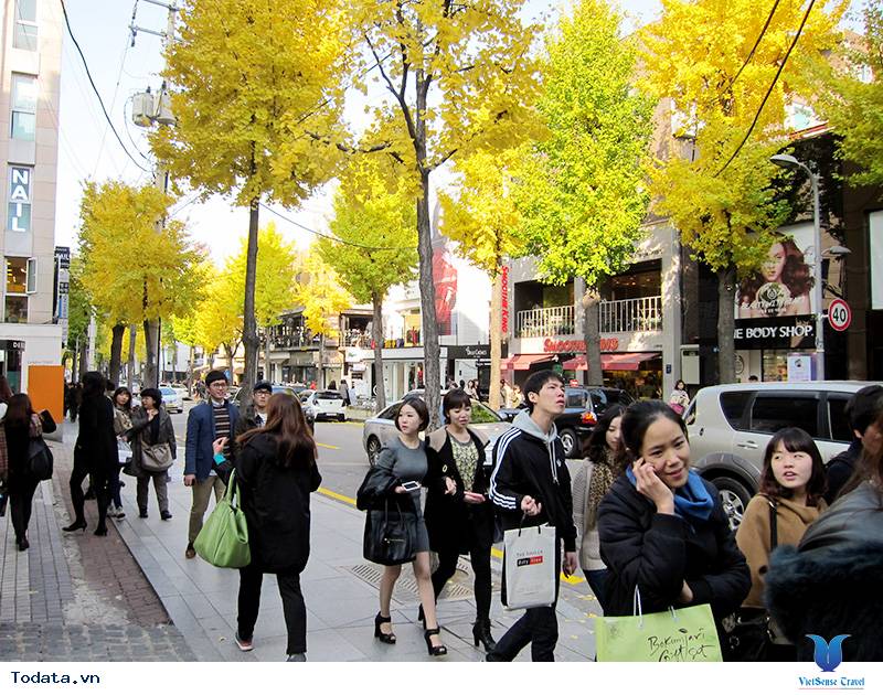 Sắc Màu Rực Rỡ Changwon Hình ảnh 3