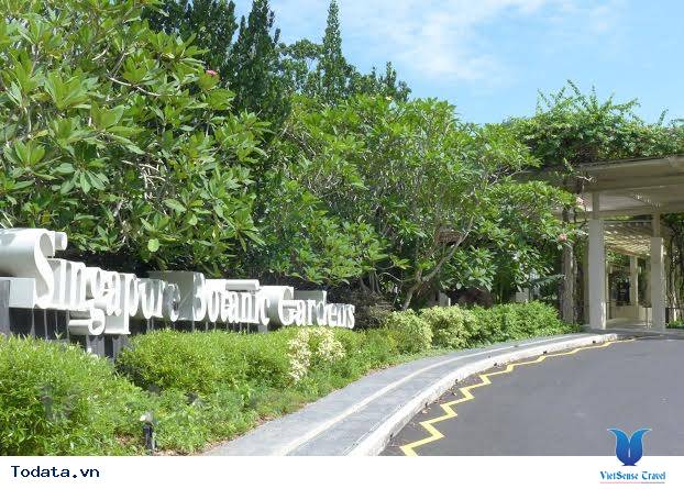 Singapore Botanic Garden,  di san Unesco  công nhận đầu tiên của Singapore Hình ảnh 2