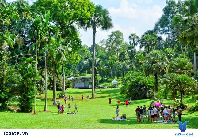 Singapore Botanic Garden,  di san Unesco  công nhận đầu tiên của Singapore Hình ảnh 3