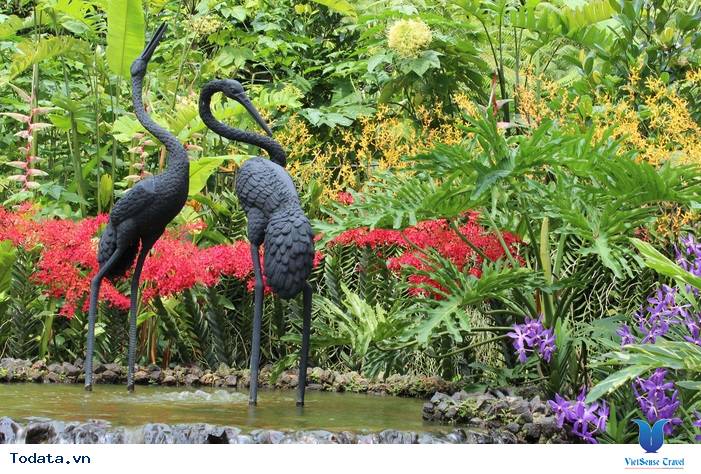 Singapore Botanic Garden,  di san Unesco  công nhận đầu tiên của Singapore Hình ảnh 4