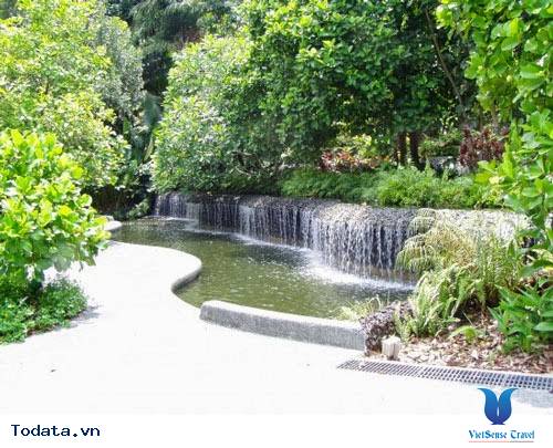 Singapore Botanic Garden , khu vườn thực vật lớn nhất Singapore Hình ảnh 1