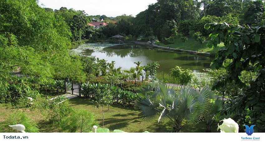 Singapore Botanic Garden, thiên đường xanh sạch đẹp Hình ảnh 2