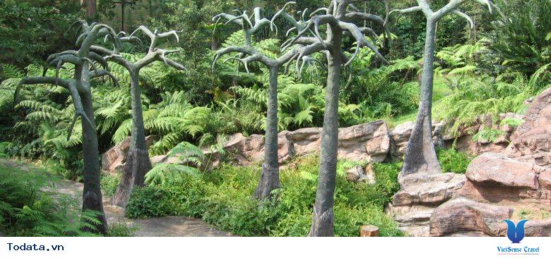 Singapore Botanic Garden, thiên đường xanh sạch đẹp Hình ảnh 1