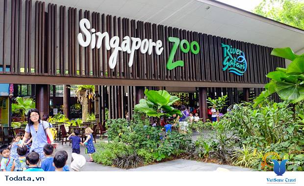 Singapore Zoo, điểm đến cho những người yêu động vật hoang dã Hình ảnh 1