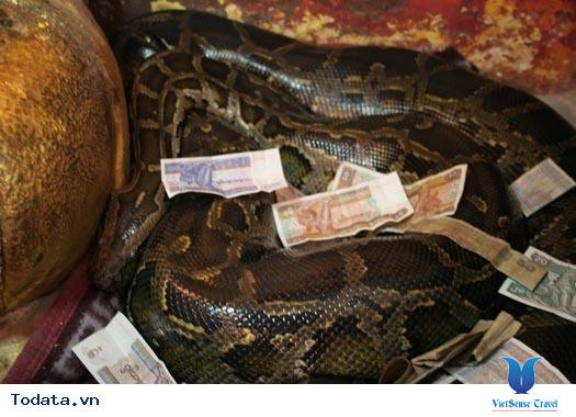 Snake Pagoda Hình ảnh 2