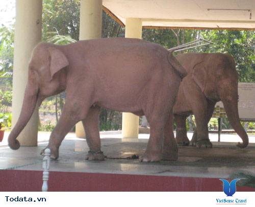 Sức mạnh quyền lực của voi trắng qua lịch sử Chùa Voi Trắng ở Myanmar Hình ảnh 1