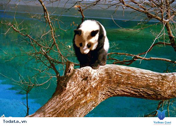 Thác nước Ngọa Long - khu bảo tồn thiên nhiên hùng vĩ Hình ảnh 1