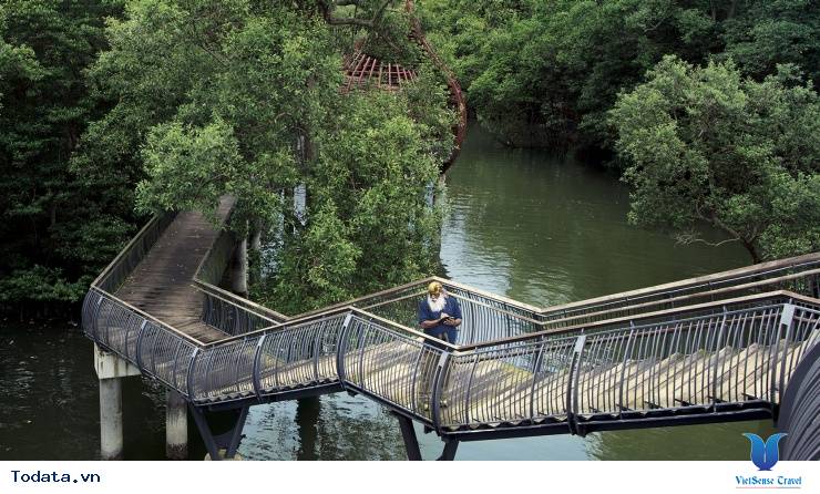 Tham quan MacRitchie Nature Trail & Reservoir Park Hình ảnh 1