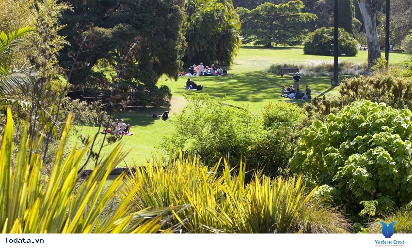 Tham quan Singapore Botanic Gardens Hình ảnh 1