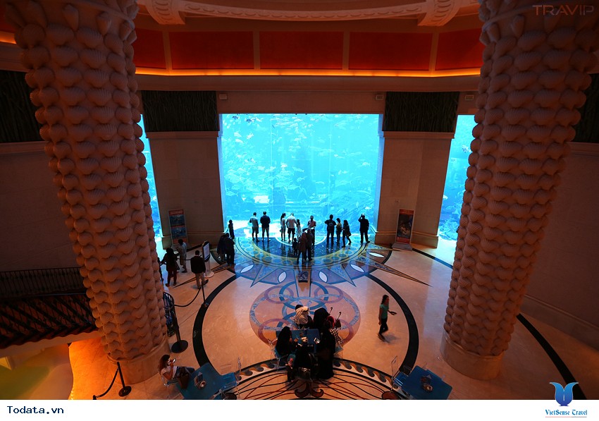 Tham Quan Thủy Cung Ở Khách Sạn Atlantis Hình ảnh 4