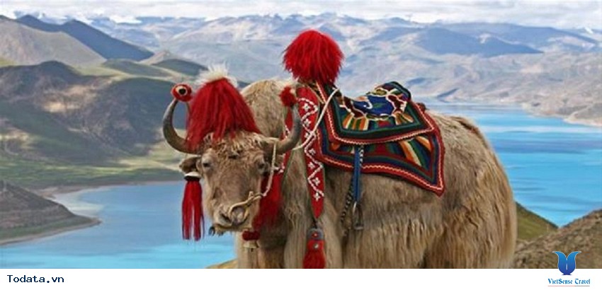 Tham quan vườn thú hoang dã Jigme Dorji Hình ảnh 1 Tham quan vườn thú hoang dã Jigme Dorji Hình ảnh 1