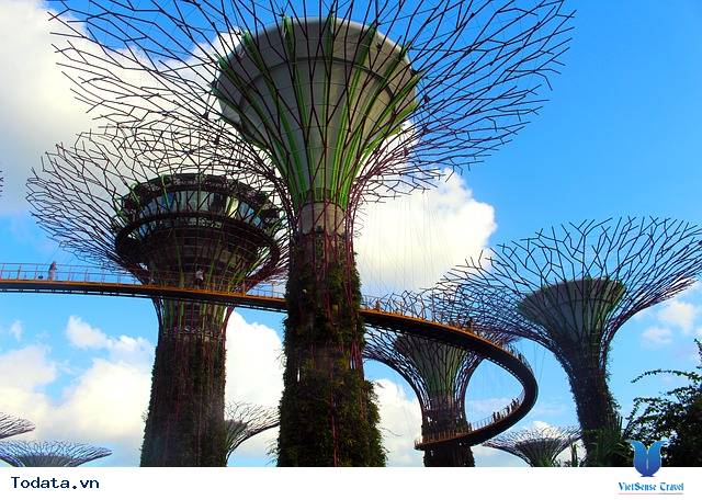 Tham quan vườn thực vật garden by the bay Hình ảnh 3