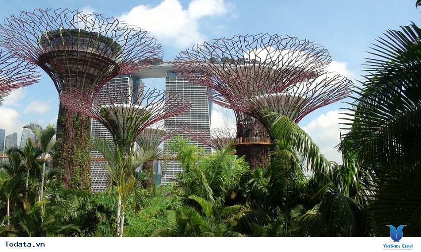 Tham quan vườn thực vật garden by the bay Hình ảnh 1