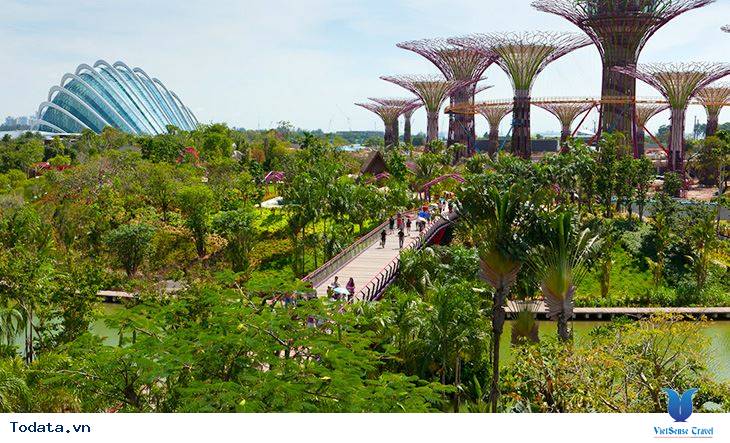 Tham quan vườn thực vật garden by the bay Hình ảnh 2