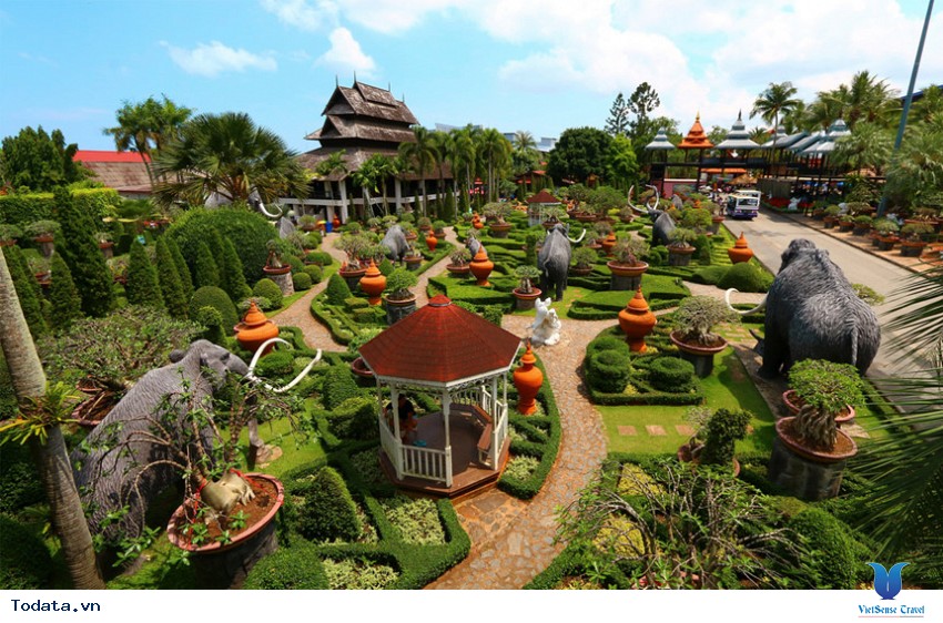 Thảm thực vật Nong Nooch ở Pattaya Hình ảnh 4 Thảm thực vật Nong Nooch ở Pattaya Hình ảnh 4