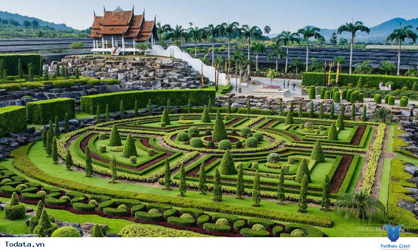 Thảm thực vật Nong Nooch ở Pattaya Hình ảnh 3 Thảm thực vật Nong Nooch ở Pattaya Hình ảnh 3