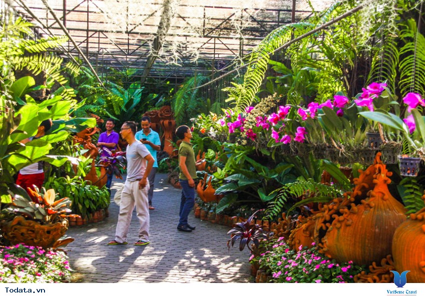 Thảm thực vật Nong Nooch ở Pattaya Hình ảnh 1 Thảm thực vật Nong Nooch ở Pattaya Hình ảnh 1