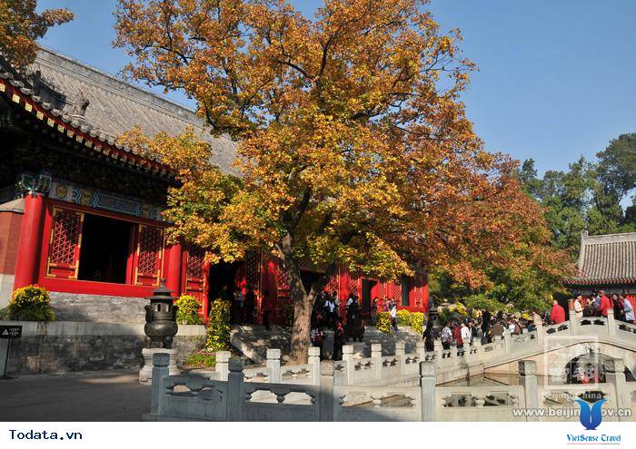 Thăm Viếng Ngũ Hầu Tự, Tưởng Nhớ Gia Cát  Lượng Hình ảnh 3