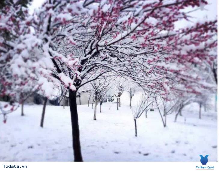 Thành  Cổ Đại Lý Mùa Tuyết Rơi Hình ảnh 3 Thành  Cổ Đại Lý Mùa Tuyết Rơi Hình ảnh 3