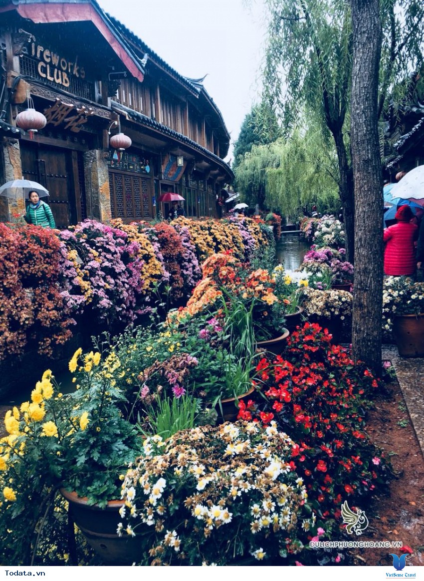 Thành Cổ Đại Lý Nhuốm Màu Rêu Phong. Hình ảnh 7