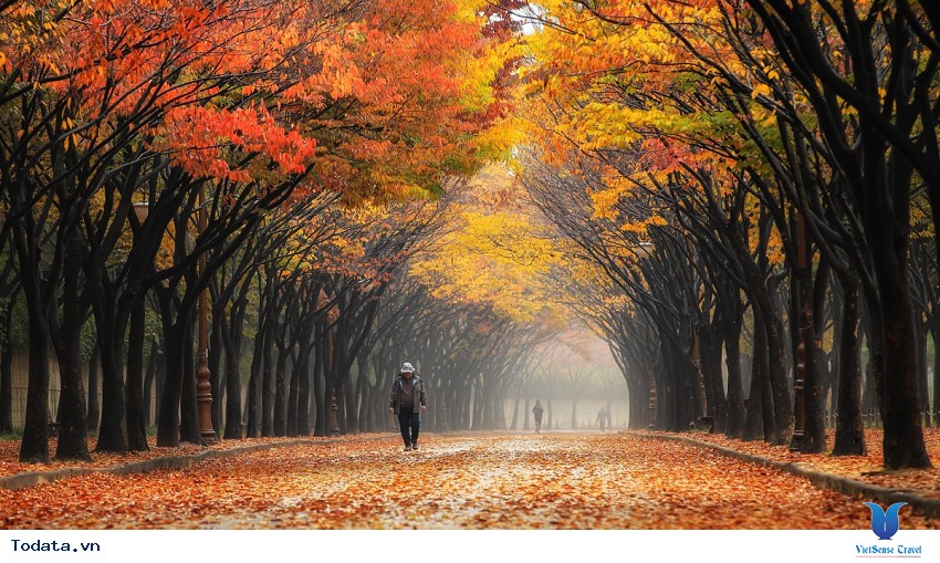 Thành Phố Incheon Hình ảnh 3