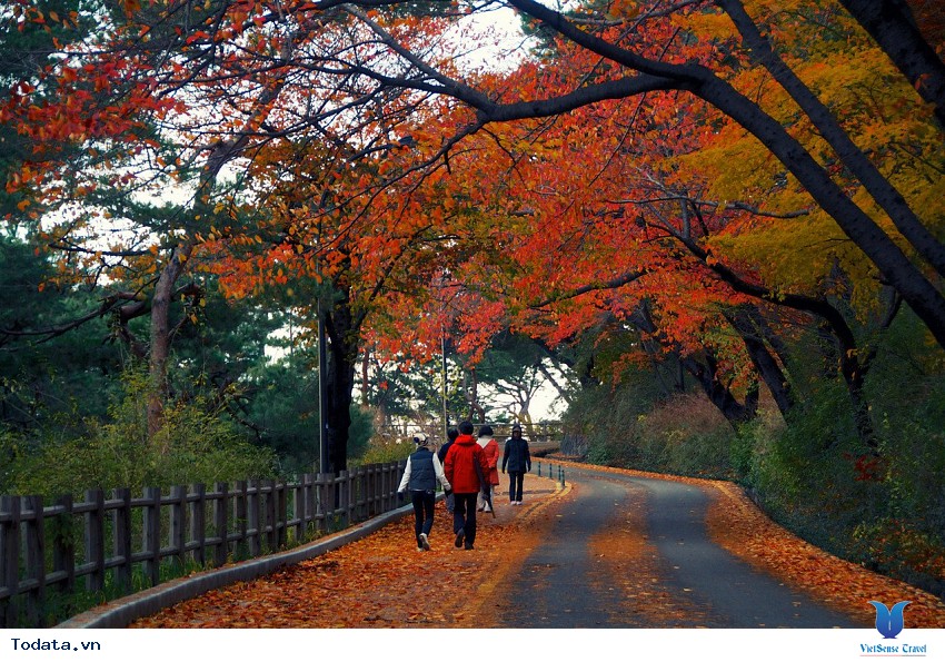 Tháp Namsan Hình ảnh 4