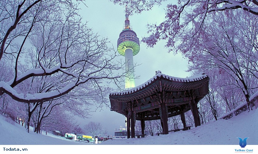 Tháp Namsan Hình ảnh 5
