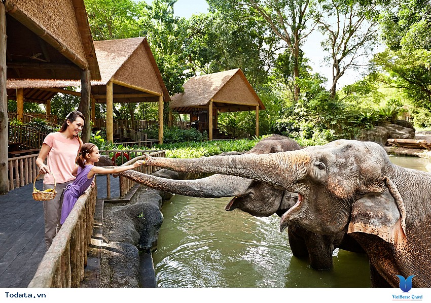 Thế giới thần tiên ở sở thú Singapore Hình ảnh 3