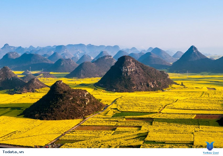 Thiên Đường Hoa Cải Vàng Ở La Bình Hình ảnh 4