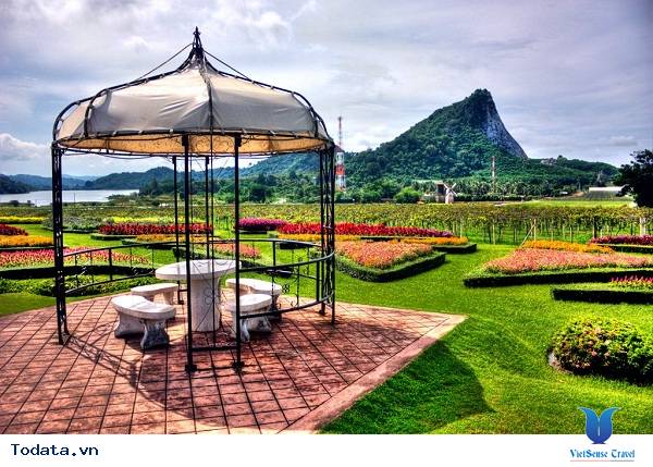 Thời điểm đẹp nhất đến vườn nho SilverLake Hình ảnh 1