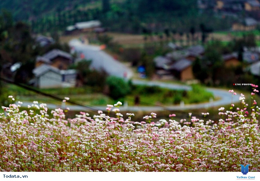 Thung lũng Sủng Là- nơi hoa nằm trong đá Hình ảnh 2