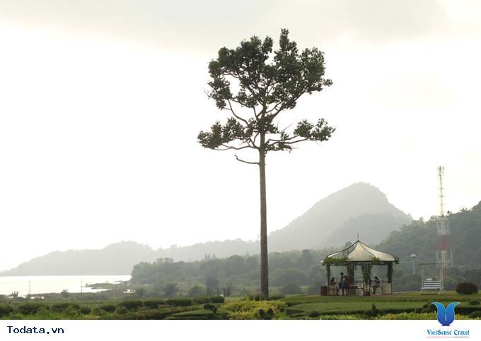 Thưởng ngoạn vườn nho SilverLake đậm chất cổ điển Hình ảnh 3