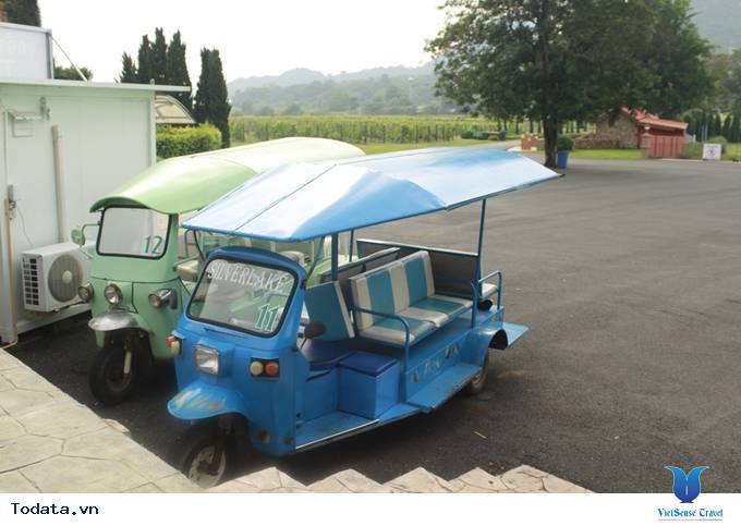 Thưởng ngoạn vườn nho SilverLake đậm chất cổ điển Hình ảnh 1