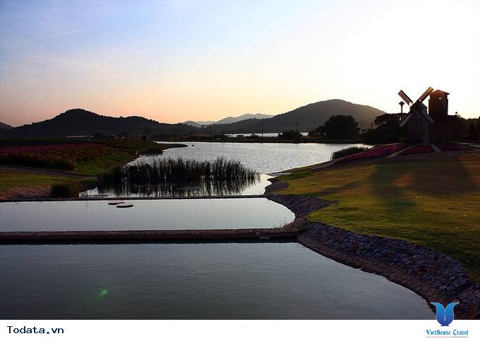 Thưởng ngoạn vườn nho SilverLake đậm chất cổ điển Hình ảnh 4