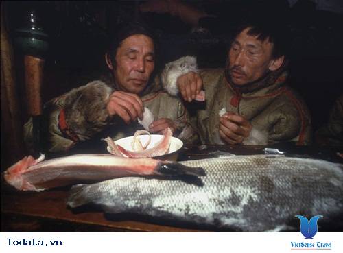 Thưởng thức bữa trưa truyền thông của người Saami Hình ảnh 3