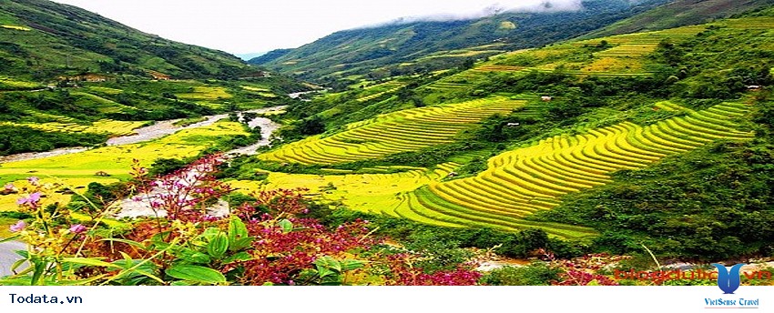 Toàn Cảnh Thung Lũng Mường Hoa Sapa Hình ảnh 1 Toàn Cảnh Thung Lũng Mường Hoa Sapa Hình ảnh 1