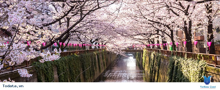 Toàn Cảnh Tokyo Hình ảnh 4